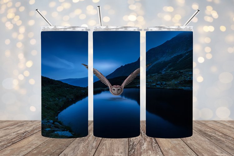 Owl Clipart Image 11