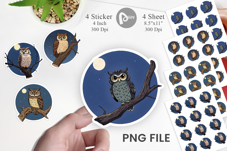 Forest Png Image 12