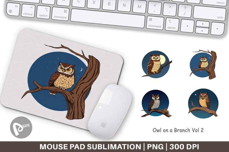 Mouse Png Image 14