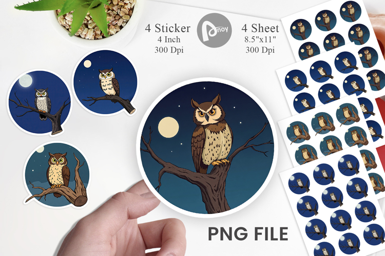 Forest Png Image 12