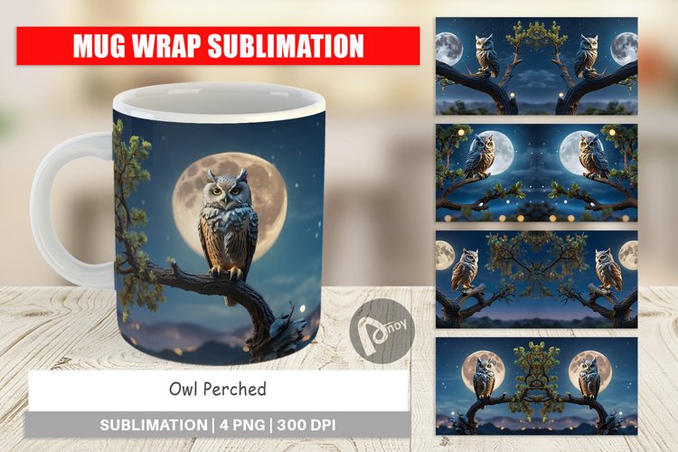 Owl Clipart Image 14