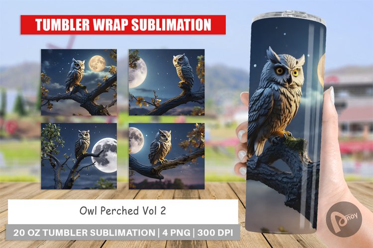 Owl Clipart Image 3