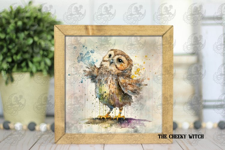 Owl Clipart Image 11