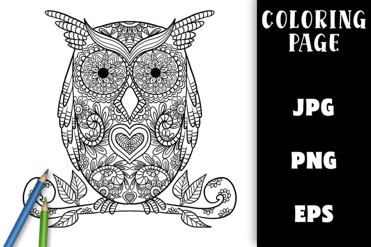 Coloring Page - Floral Owl PNG example image 1