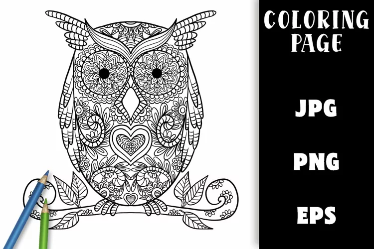 Coloring Page - Floral Owl PNG