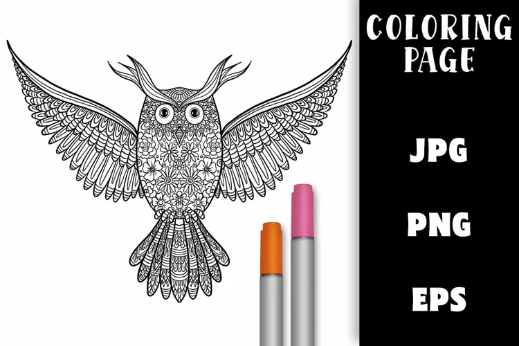 Coloring Page - Owl with Spread Wings PNG
