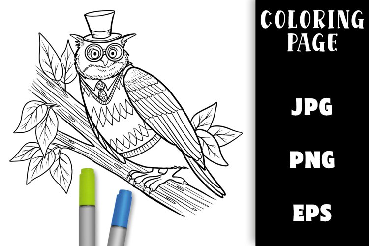 Coloring Page - Owl in a Hat PNG