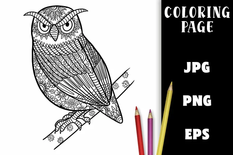 Coloring Page - Grumpy Owl on a Branch PNG