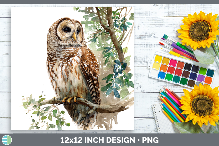 Barred Owl Owls Sketch Paper Backgrounds Design