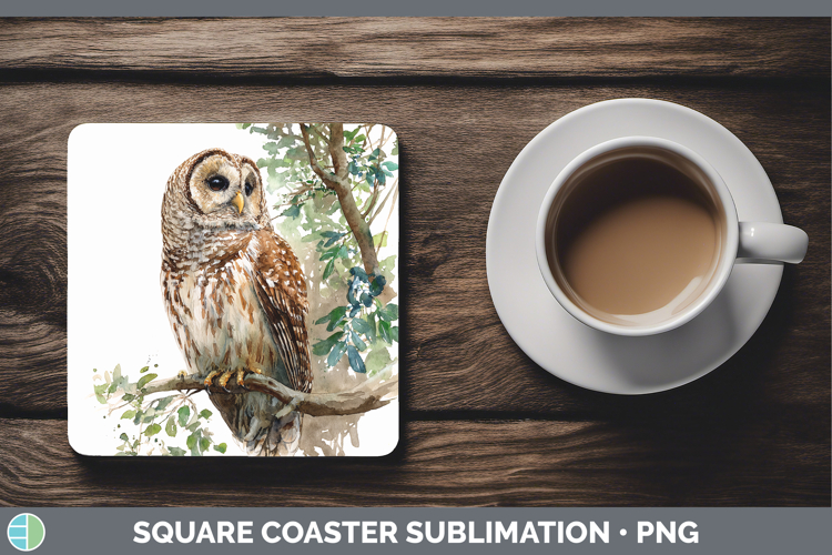 Barred Owl Owls Sketch Square Coaster Sublimation Design