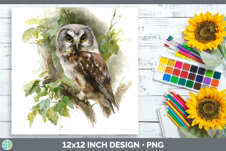Boreal Owl Owls Sketch Paper Backgrounds Design
