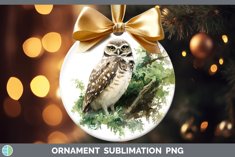 Burrowing Owl Owls Sketch Ornament Sublimation Design