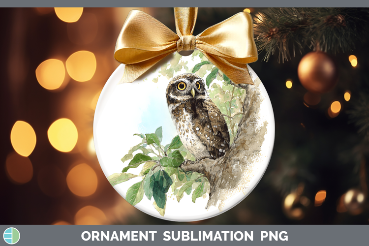 Elf Owl Owls Sketch Ornament Sublimation Design