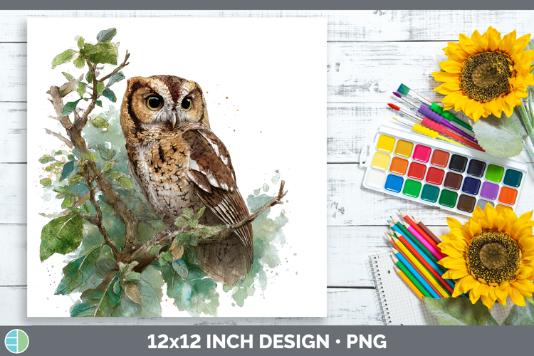 Flammulated Owl Owls Sketch Paper Backgrounds Design