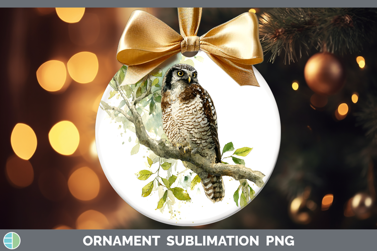 Hawk Owl Owls Sketch Ornament Sublimation Design