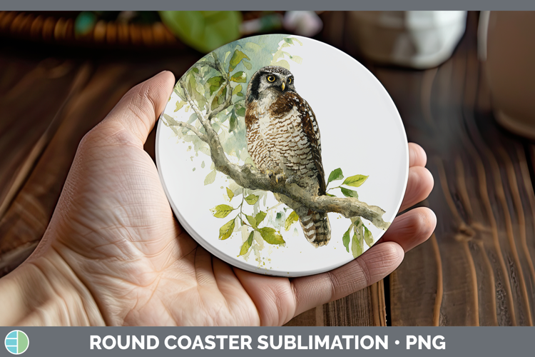 Hawk Owl Owls Sketch Round Coaster Sublimation Design