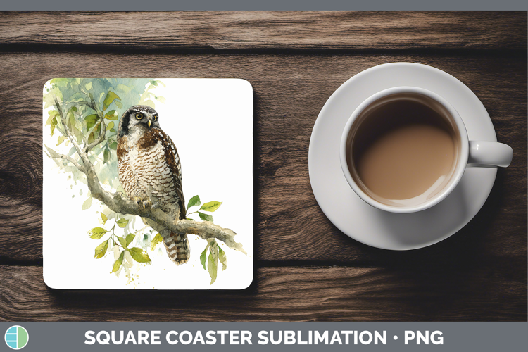 Hawk Owl Owls Sketch Square Coaster Sublimation Design