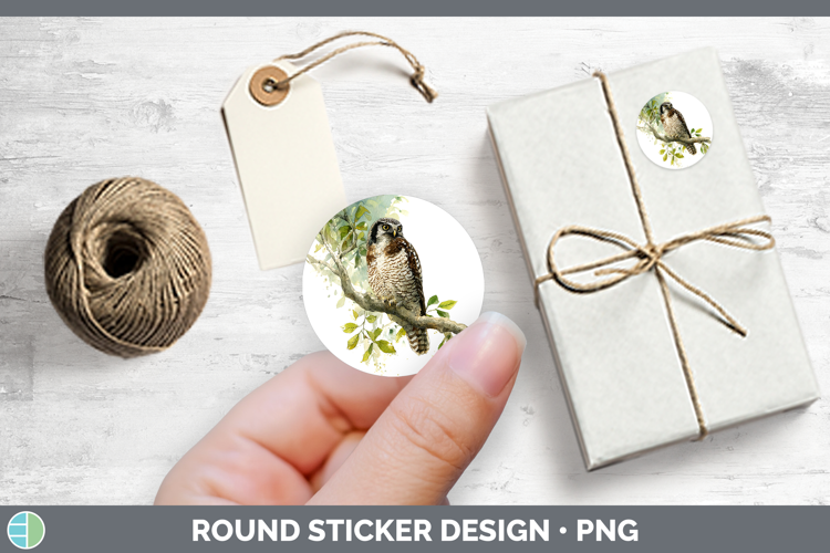 Hawk Owl Owls Sketch Stickers Design