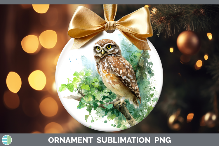 Little Owl Owls Sketch Ornament Sublimation Design