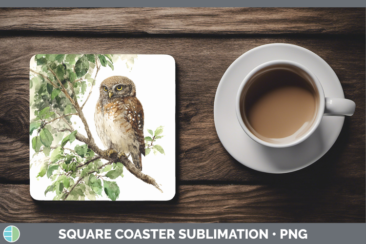 Pearl-spotted Owl Owls Sketch Square Coaster Sublimation Des