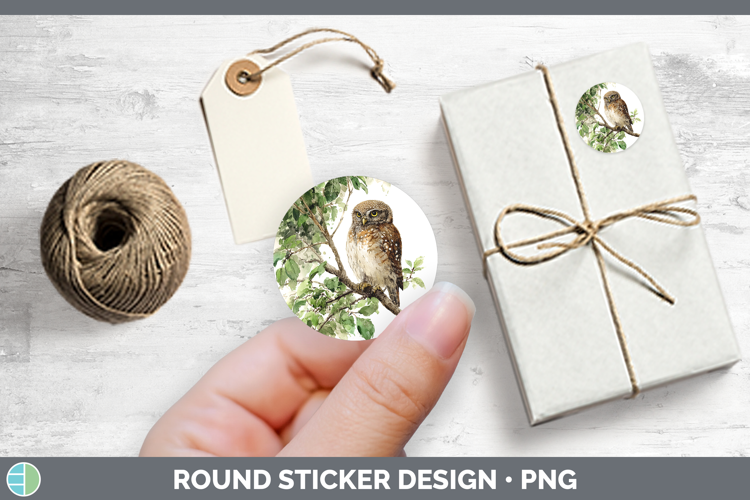 Pearl-spotted Owl Owls Sketch Stickers Design