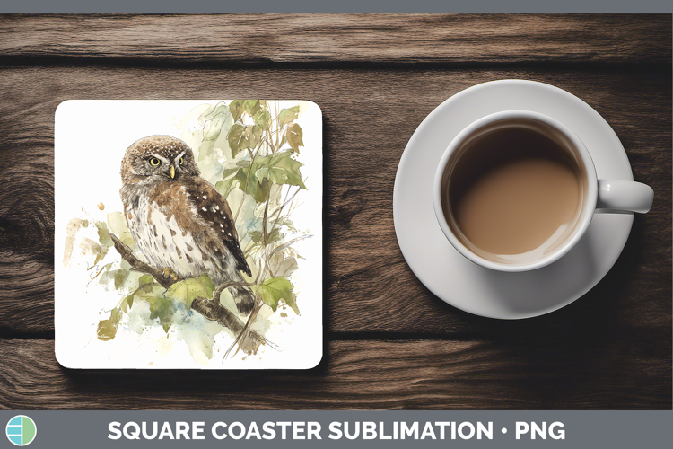 Pygmy Owl Owls Sketch Square Coaster Sublimation Design