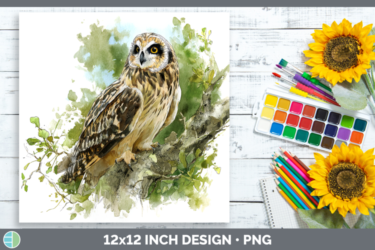 Short-eared Owl Owls Sketch Paper Backgrounds Design