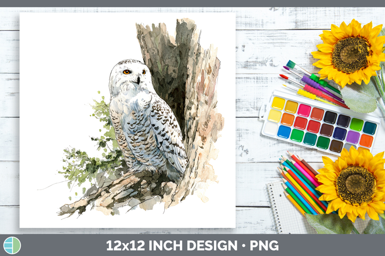 Snowy Owl Owls Sketch Paper Backgrounds Design