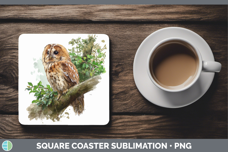 Tawny Owl Owls Sketch Square Coaster Sublimation Design