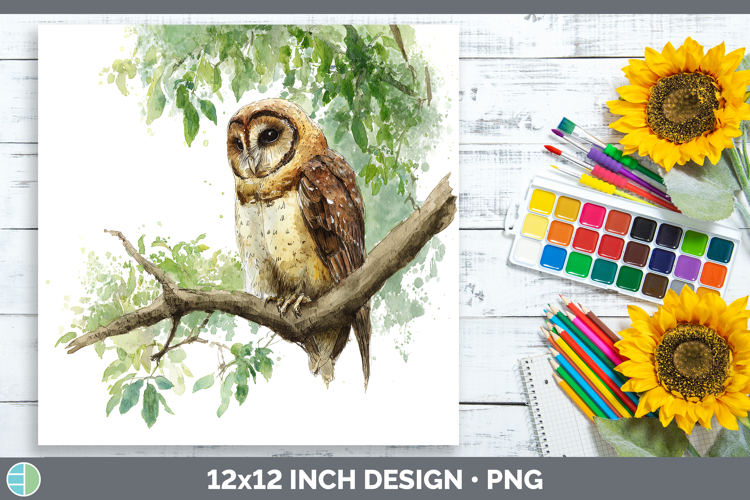 Wood Owl Owls Sketch Paper Backgrounds Design