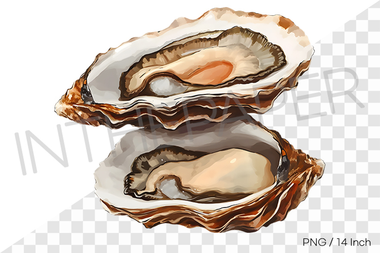 Open Clipart Image 9