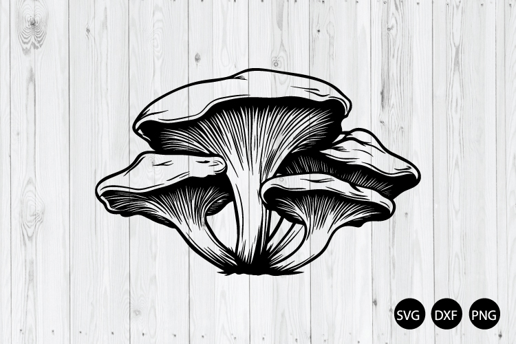 Oyster Mushrooms SVG, Fungi SVG, Mushrooms SVG