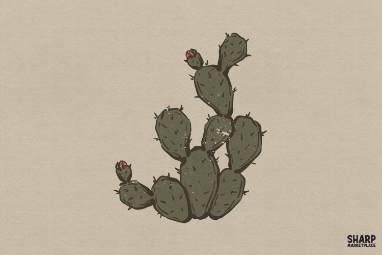 Cactus Png Image 20