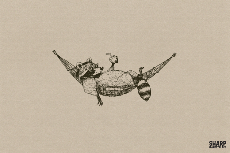 Raccoon Png Image 11