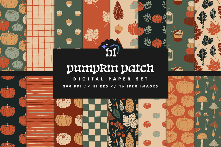 Pumpkin Texture Image 19