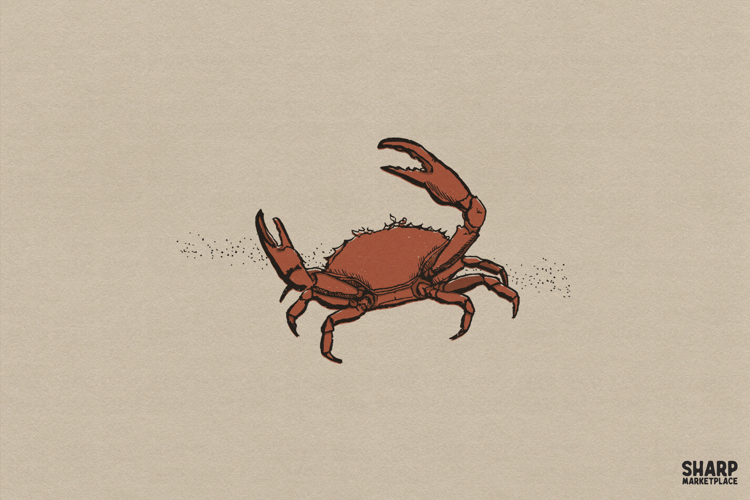 Beach PNG Image 20