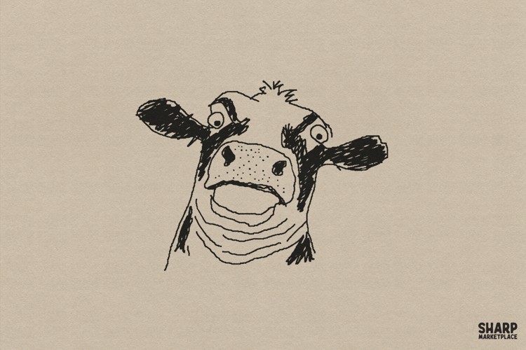 Highland Cow Png Image 19