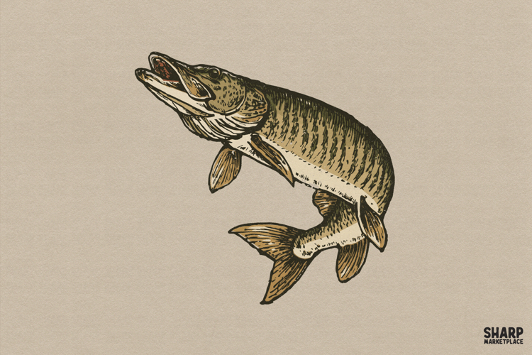 Fishing Png Image 10