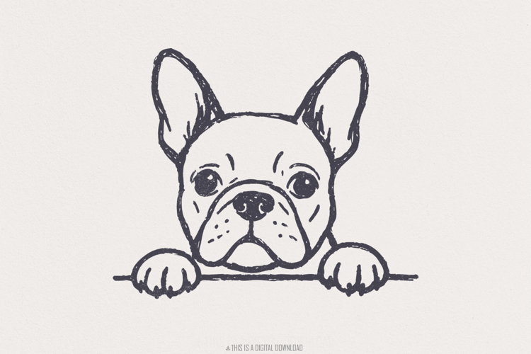 French Bulldog Clipart Image 3