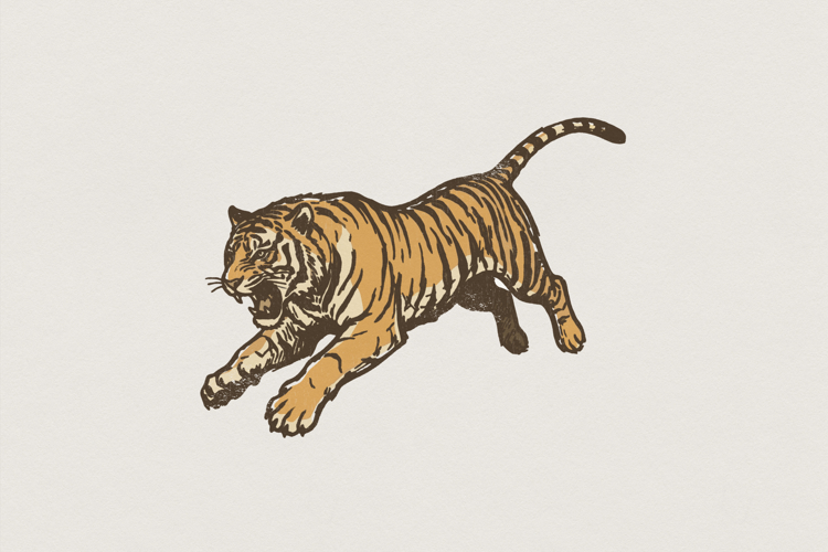 Tiger PNG Image 2