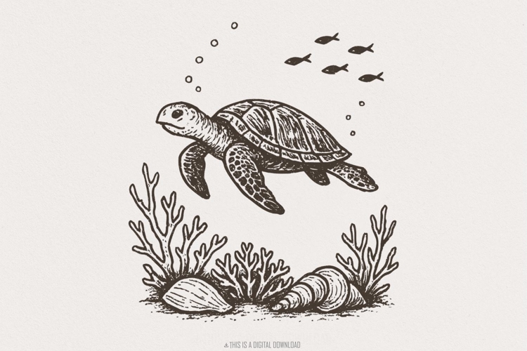Sea Turtle Clipart Image 5