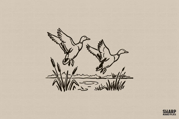 Flying Ducks PNG, Hunting PNG, Lake Life PNG, Marsh Bird