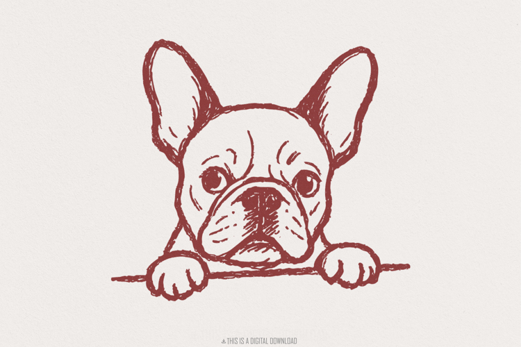 French Bulldog PNG, Digital Download, Cute Dog Clipart,