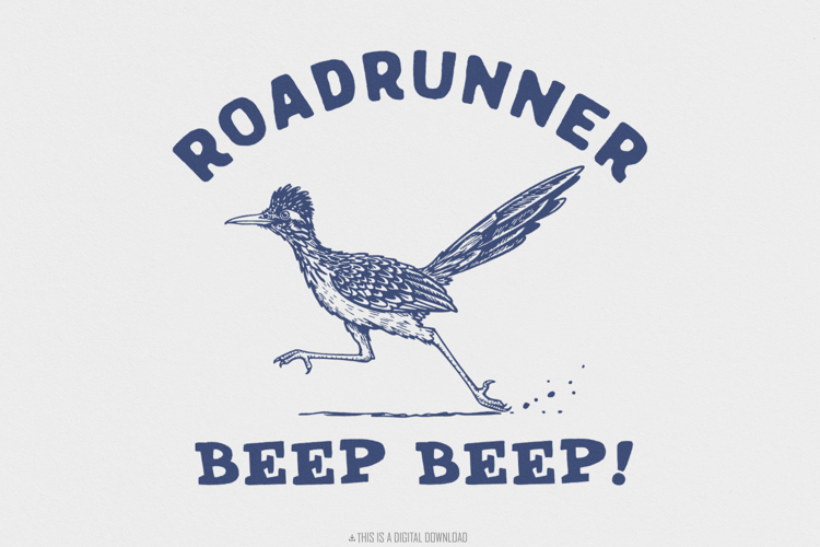Fly Png Image 17