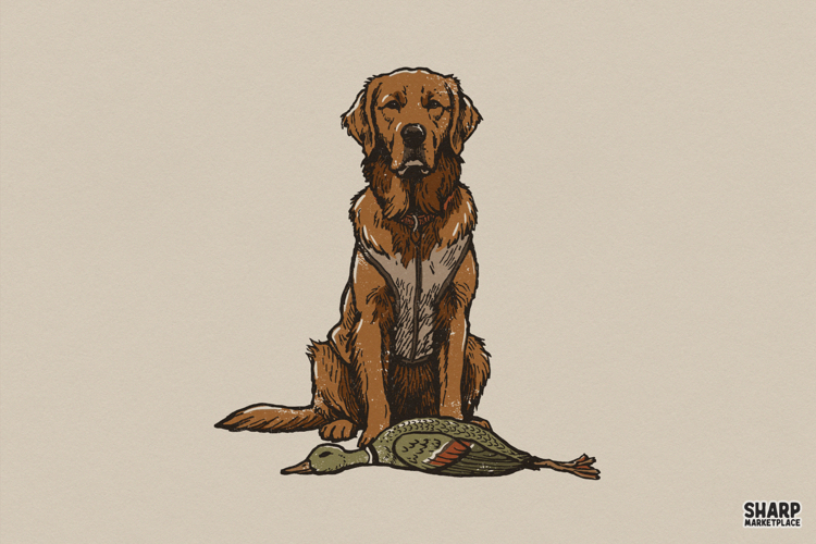 Sticker Png Image 20