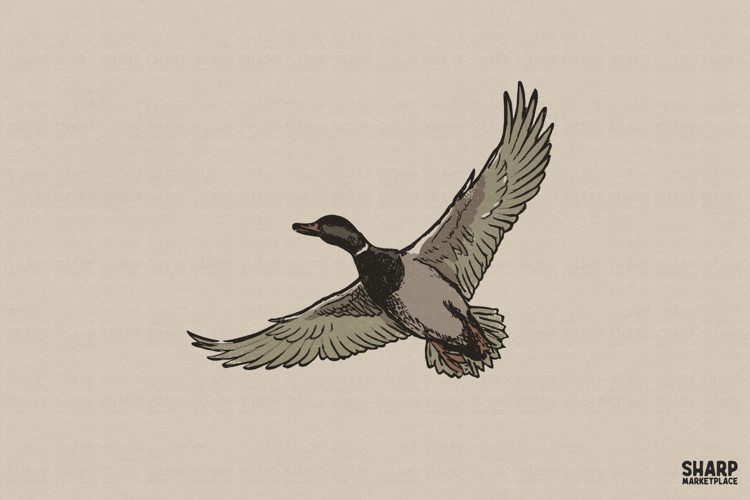 Mallard Duck PNG, Hunting PNG, Lake Life PNG, Vintage