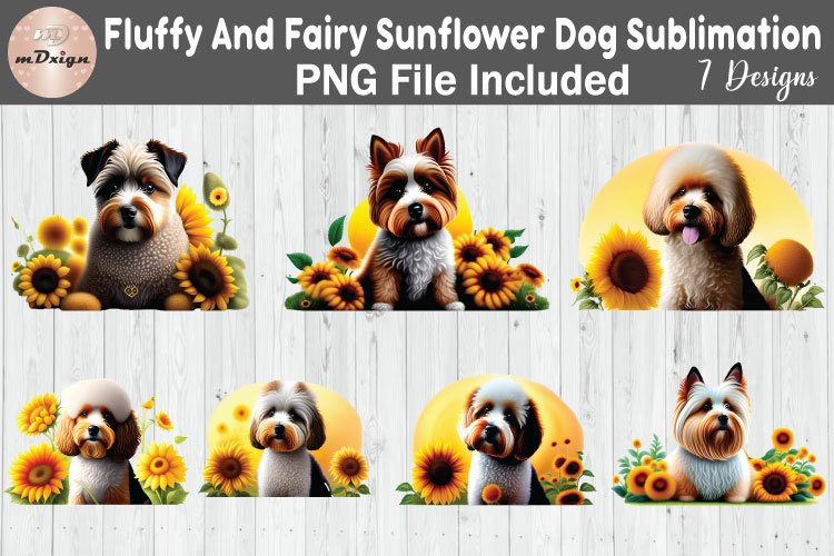 Sunflower PNG Image 15