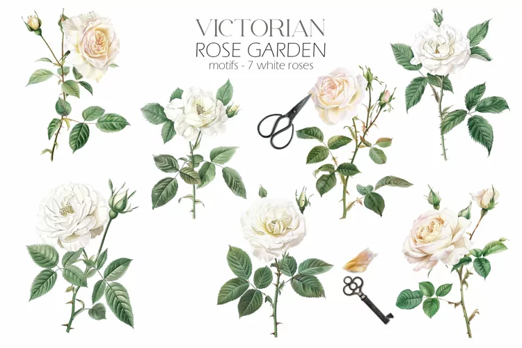 Vintage Watercolor Roses Bouquets| Floral Clipart