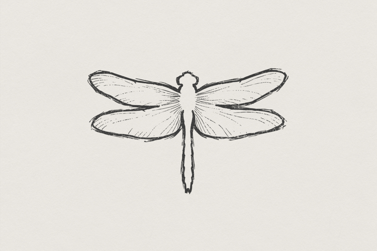 Dragonfly PNG Line Art, Minimalist Insect Digital Design,