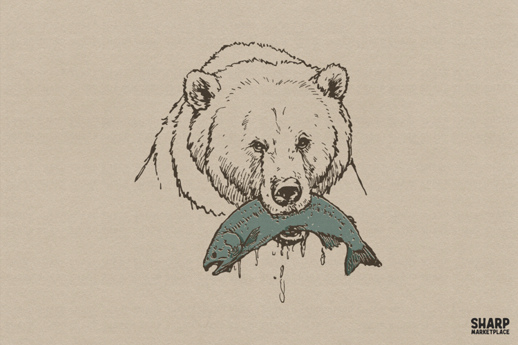 Grizzly Bear Catching Salmon Wildlife Sketch Illustration,